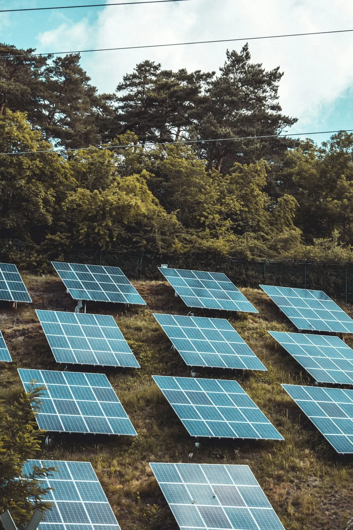 Paneles solares instalados en una ladera